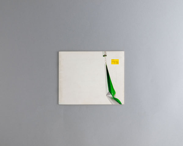 Nanney, Chuck : Space Oddity (Lesson in Survival)