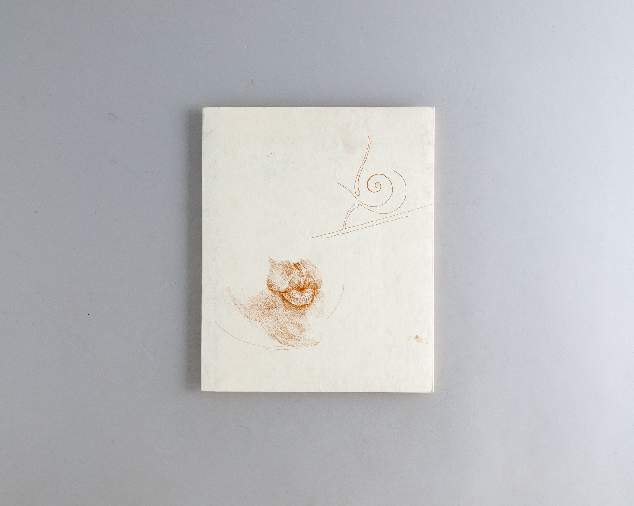 アート・デザイン・音楽 ART POVERA Arte Povera: A radical art movement | Art Gallery of Ontario