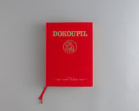 Dokoupil Works 1981 - 1984